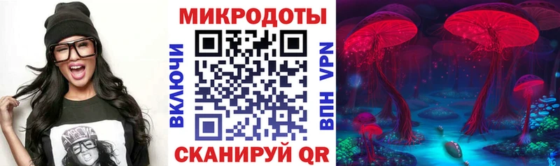 Купить Кемь Псилоцибиновые грибы MAGIC MUSHROOMS